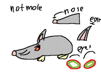 2008 RAT of the year (I born this year)