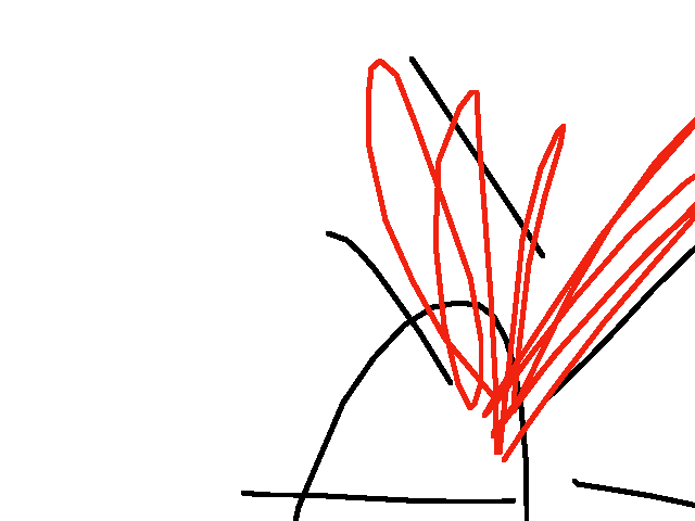 A is my nose lol