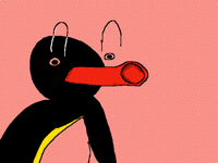 NOOT NOOT