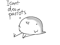 I’m planning to take care parrot before buy it.