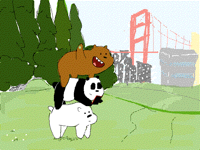 We bare bears
