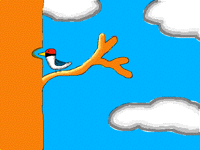 Pájaro carpintero