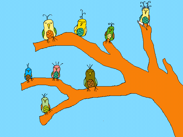 Pájaros
