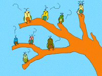 Pájaros