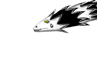 Dragón