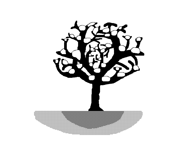 A Tree In Seasons