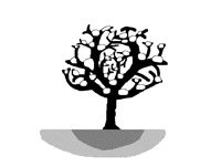 A Tree In Seasons