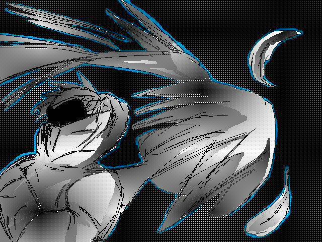 bird guy