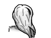 someone, who speak with hands