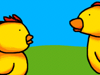 chiken???