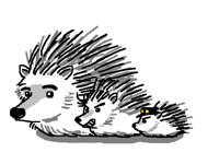 jostar hedgedogs