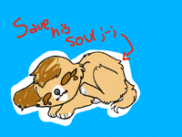 S a v e m y d o g f r o m y i f f