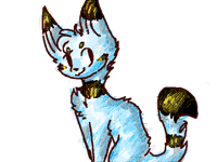 What colour is this cat?