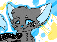 StarPaw