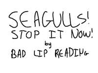 SEAGULLS! (Stop It Now!) || ANIMATED