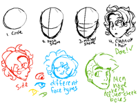 Face Anatomy