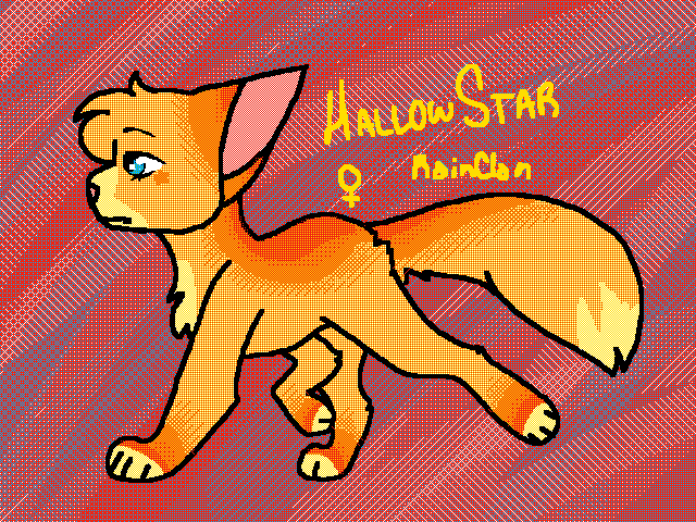 HallowStar of RainClan
