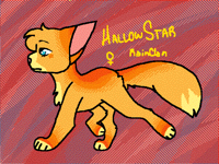 HallowStar of RainClan