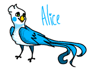 Alice