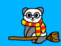 Harry Potter As A Panda