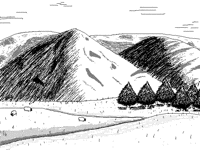 The Hills