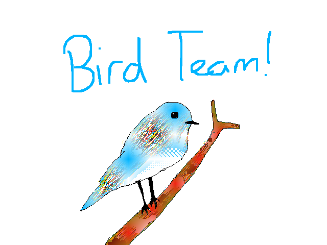 Join the Bird Team for Folio War!