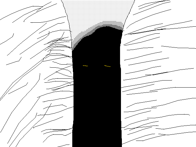 In the shadows