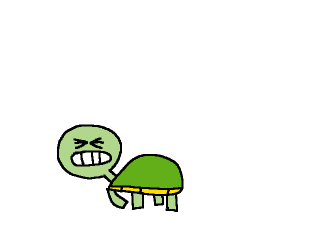 Tortoise