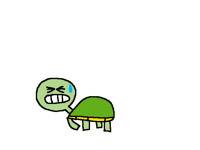 Tortoise