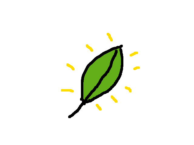 Turning over a new leaf
