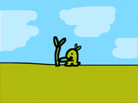 Non Nom