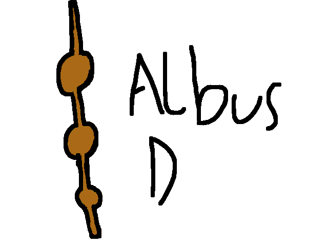 Harry potter wands