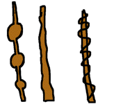 Harry potter wands
