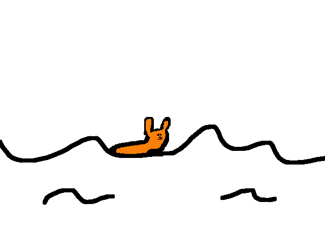 Fox swimming