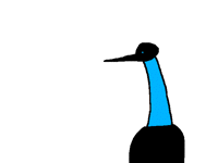 NECKTALE Nimda
