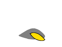 Seed