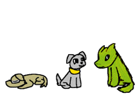 puppyee contest