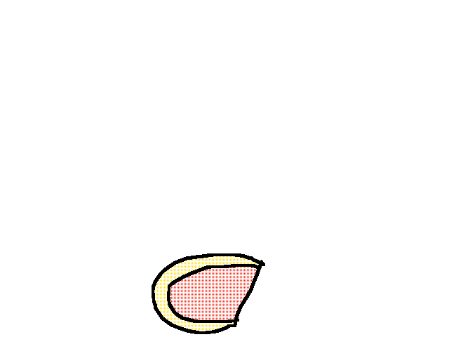 None beef with left pizza