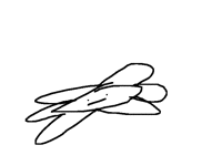 Floe