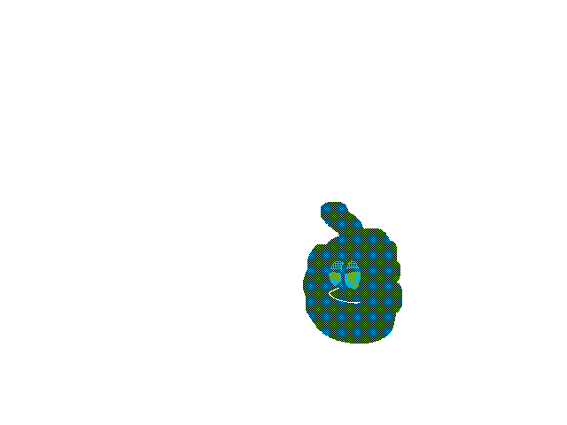 Nib