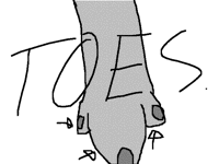 WHAT ARE THOOOOOOOOOOOSE