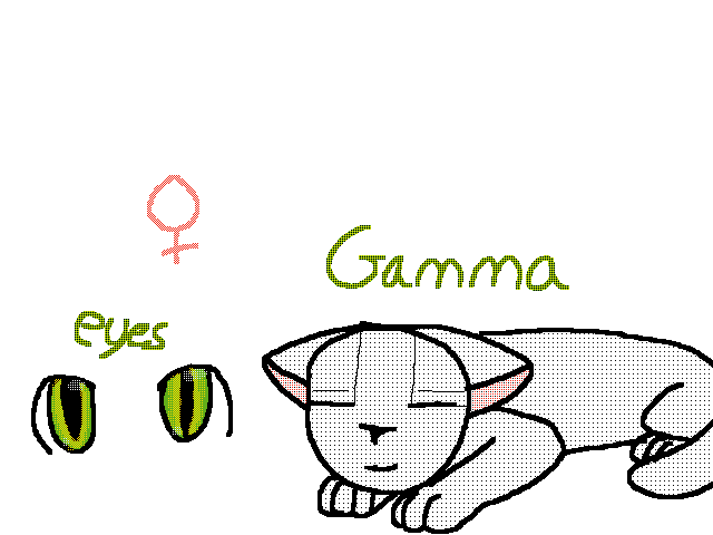 Gamma The Cat