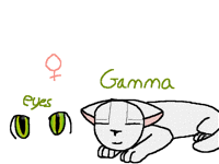 Gamma The Cat