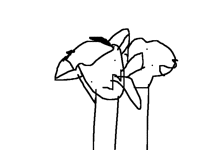 licc
