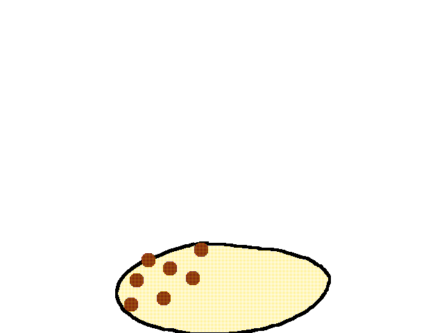 None pizza with left beef