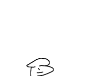 no centipede