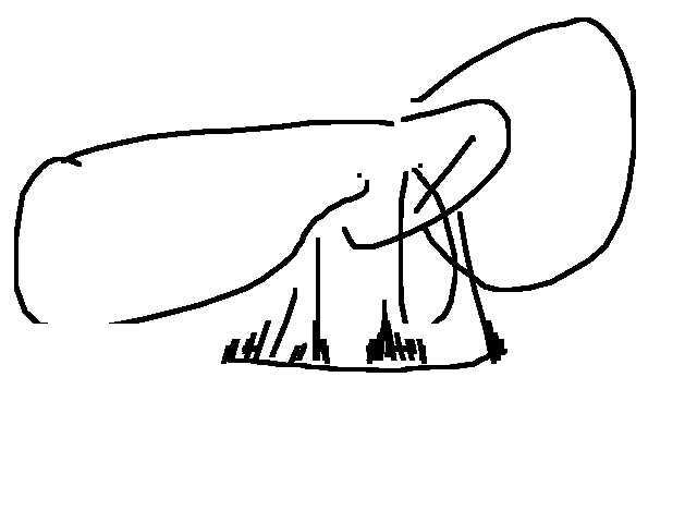 Dumbo