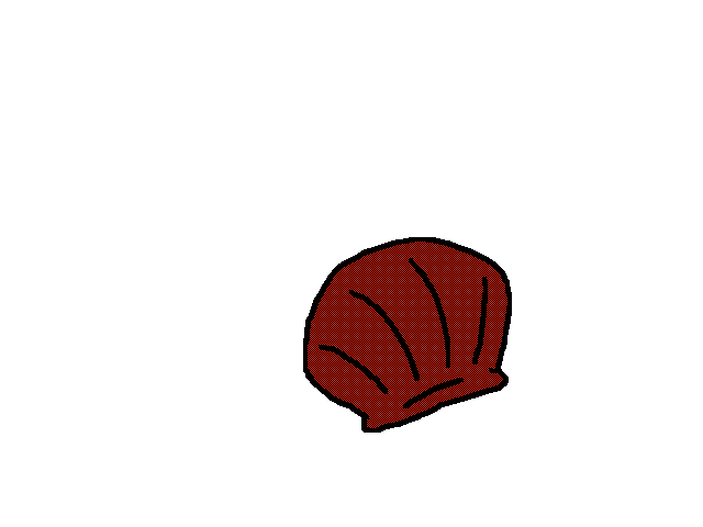 enigma the sneaky seashell
