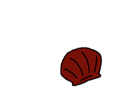 enigma the sneaky seashell