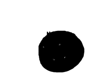 A veri thicc